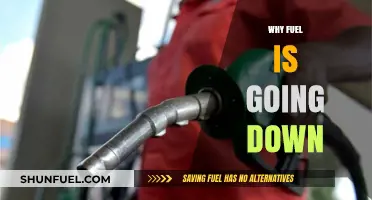 Exploring the Factors Behind the Recent Fuel Price Drop