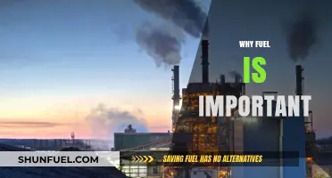 Energizing Progress: The Indispensable Role of Fuel in Our Lives