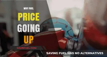 Exploring the Surge: Why Fuel Prices Keep Climbing