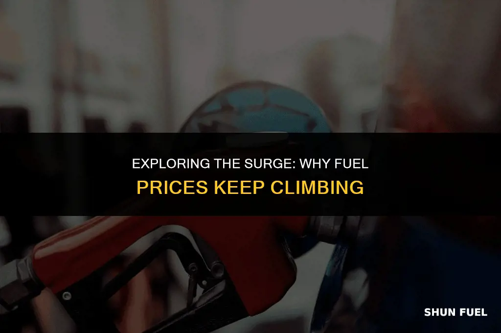why fuel price going up