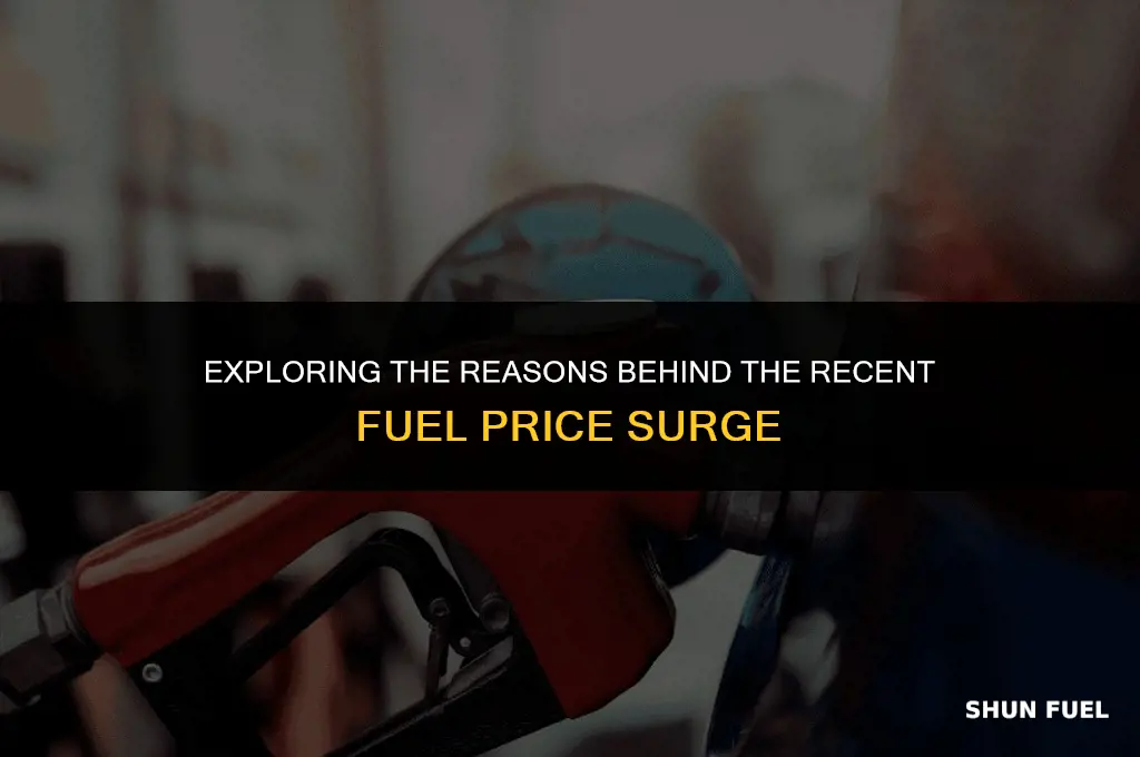 why fuel price hike
