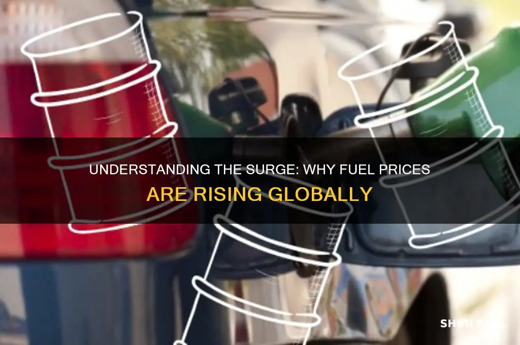 why fuel prices are rising