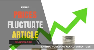 Decoding the Rollercoaster: Factors Behind Fuel Price Fluctuations
