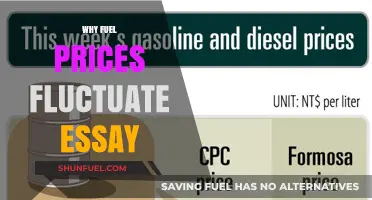Understanding the Volatility: Factors Behind Fuel Price Fluctuations
