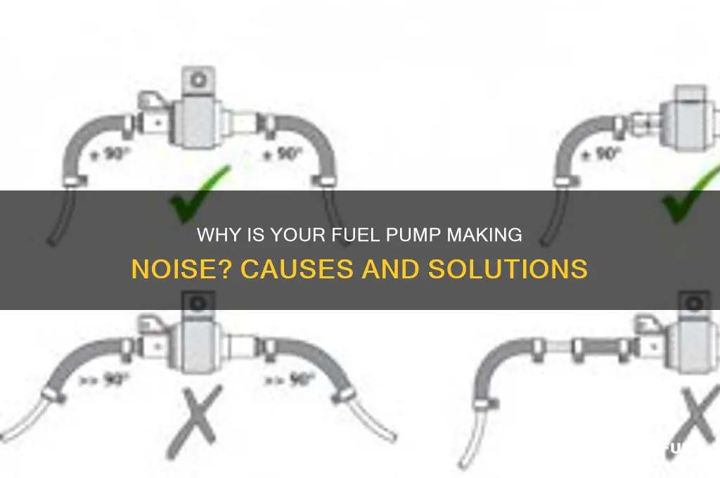 why fuel pump making noise