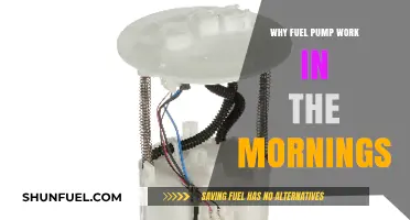 Why Fuel Pumps Work Efficiently in the Mornings: Explained