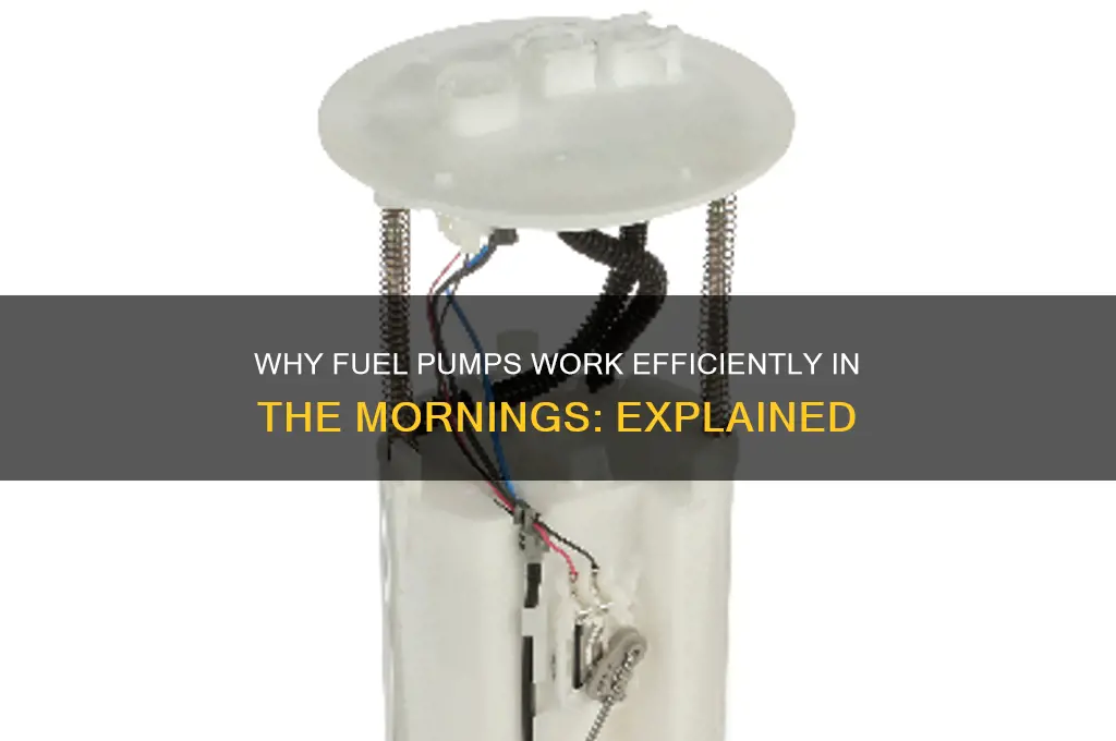 why fuel pump work in the mornings