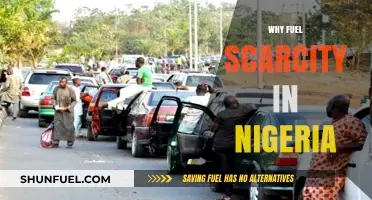 Exploring the Roots of Fuel Scarcity in Nigeria: A Comprehensive Analysis