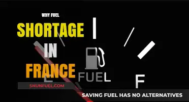 Exploring the Reasons Behind France's Fuel Shortage Crisis
