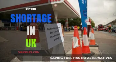 Unraveling the UK Fuel Crisis: Causes and Consequences