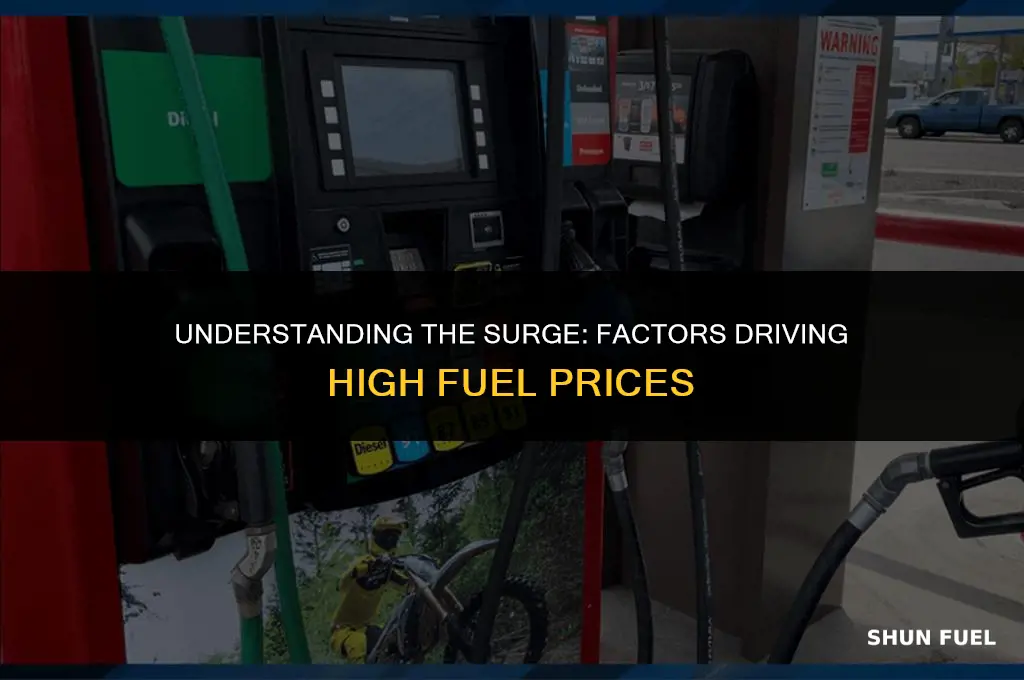 why fuel so high