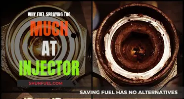 Fuel Injector Fault: Excessive Spraying and Potential Causes