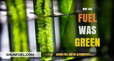 The Surprising Environmental Benefits of Gas Fuel