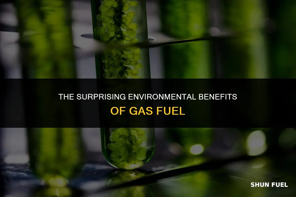 why gas fuel was green