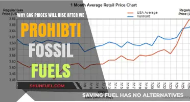 Post-Fossil Fuel Era: Why Gas Prices Will Surge Dramatically