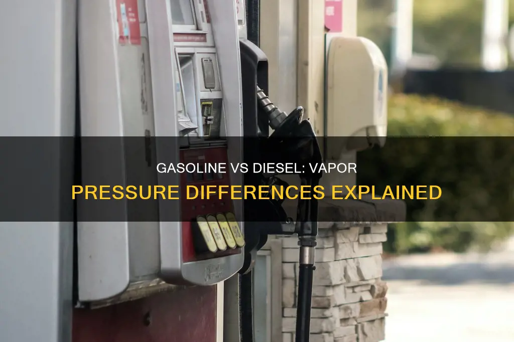 why gasoline has higher vapor pressure than diesel fuel