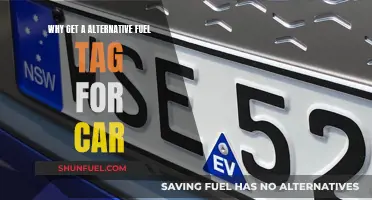 Why Go Green: Benefits of an Alternative Fuel Tag for Your Car