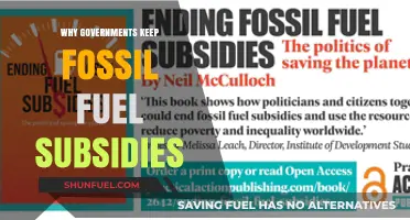 Why Governments Maintain Fossil Fuel Subsidies Despite Climate Concerns