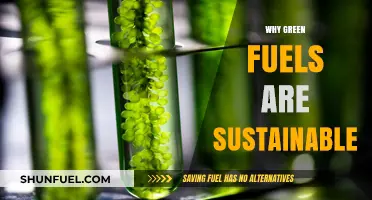 Powering a Greener Future: The Sustainability of Green Fuels
