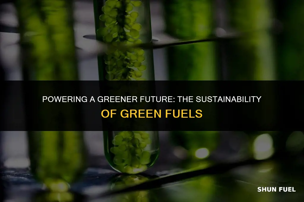 why green fuels are sustainable