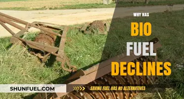 The Decline of Biofuels: An Examination of Economic and Environmental Factors