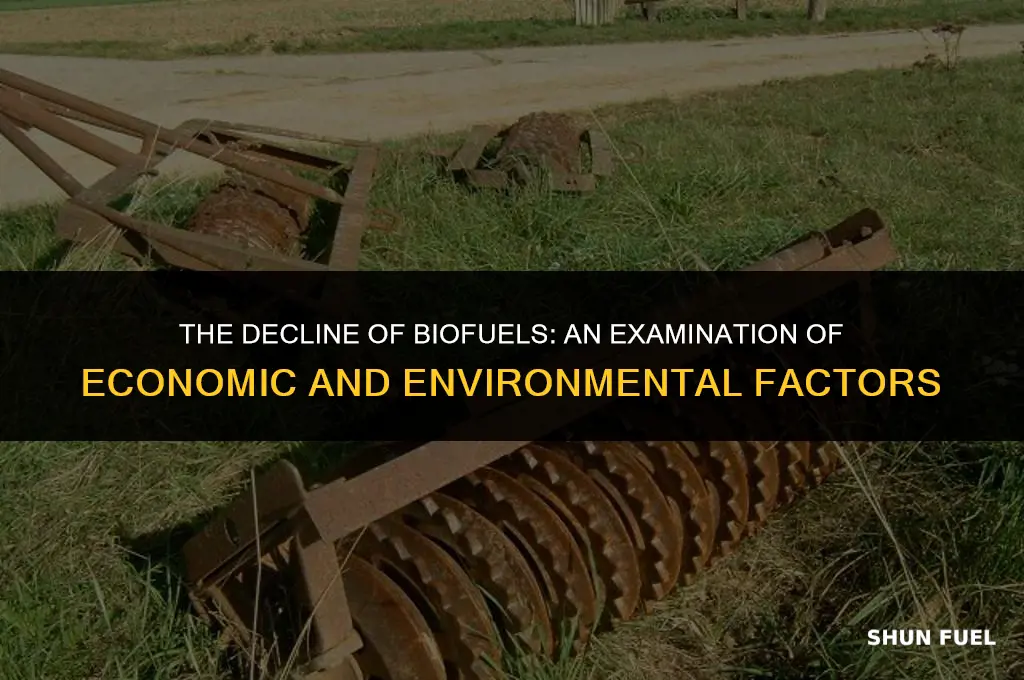 why has bio fuel declines