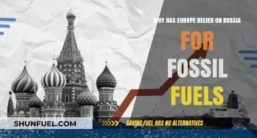 Europe's Energy Dependence: Why Russia's Fossil Fuels Dominate the Market