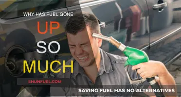 The Rising Fuel Prices: Understanding the Soaring Costs