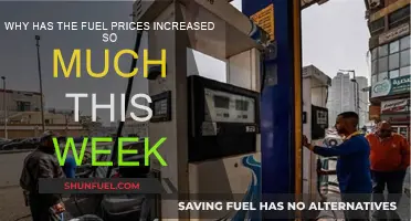 Fuel Prices Surge: Understanding the Recent Spike