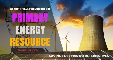 The Rise of Fossil Fuels: Unraveling Their Dominance in Global Energy