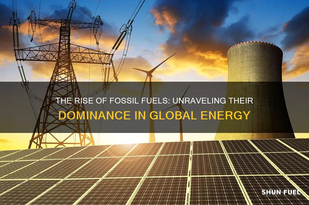 why have fossil fuels become our primary energy resource