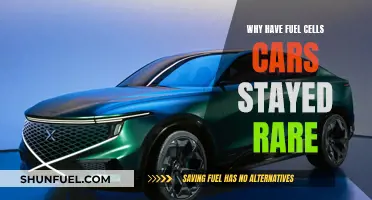 Fuel Cell Cars: Why the Rare Revolution?