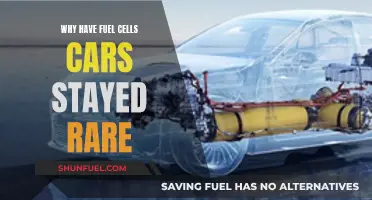 Fuel Cell Cars: Why Are They Still Rare?