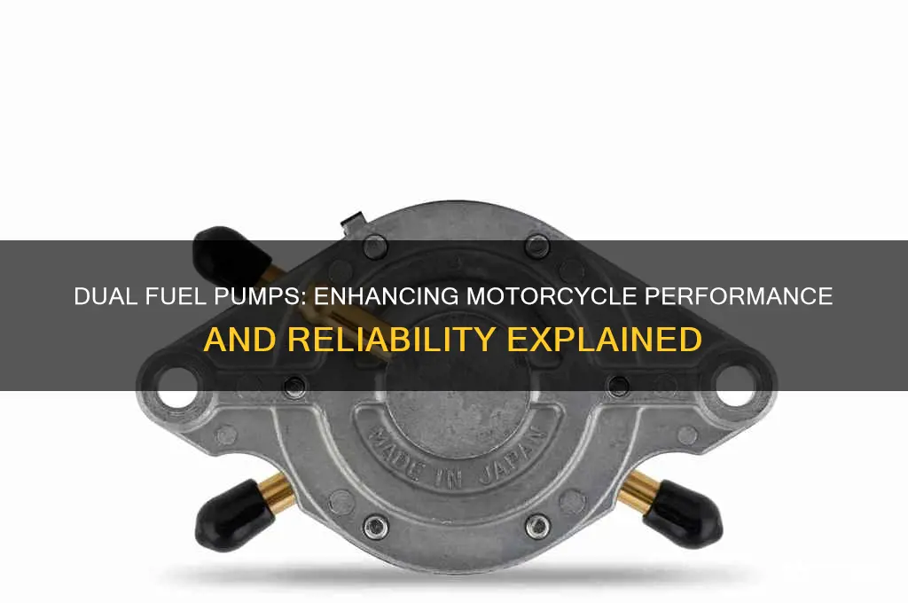 why have two fuel pumps on motorcycle