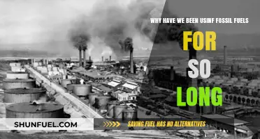 The Enduring Reliance on Fossil Fuels: A Historical and Economic Perspective