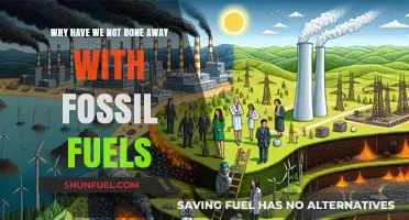 Why Fossil Fuels Persist: Barriers to a Clean Energy Transition