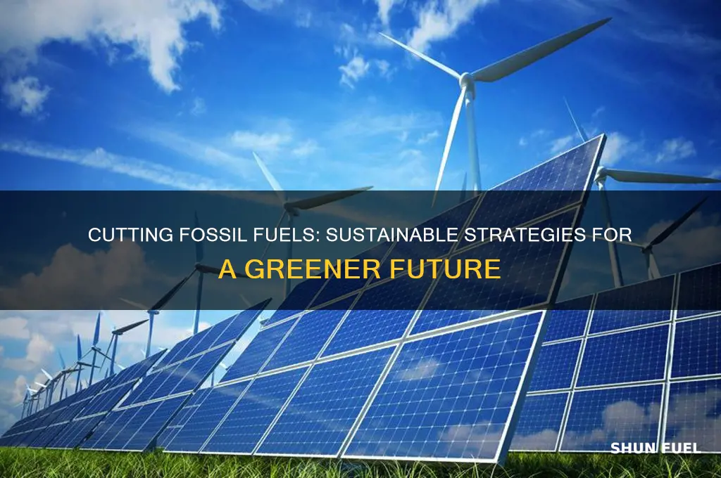 why how to reduce fossil fuels