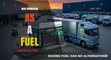 Hydrogen Fuel: The Clean Energy Revolution We've Been Waiting For
