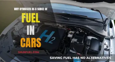 Hydrogen's Promise: Clean, Efficient, and Sustainable Fuel for the Future