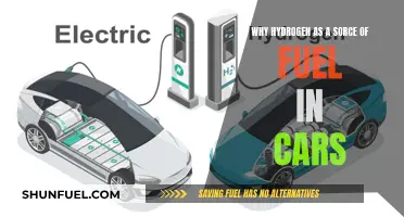 Hydrogen-Powered Cars: The Future of Fuel?