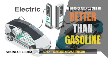Hydrogen Fuel Cell Cars: Superior to Gasoline?