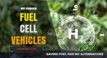 Revolutionizing Transportation: The Promise of Hydrogen Fuel Cell Vehicles