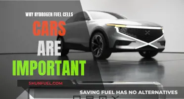 Hydrogen Fuel Cells: The Future of Sustainable Transportation