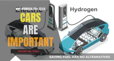 Hydrogen Fuel Cell Cars: The Future of Green Driving