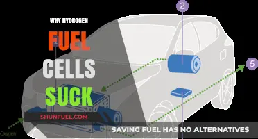 Hydrogen Fuel Cells: The Overhyped Technology That's Failing to Deliver