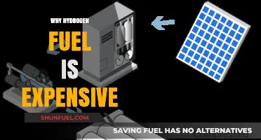 Decoding the High Cost of Hydrogen Fuel: A Comprehensive Analysis