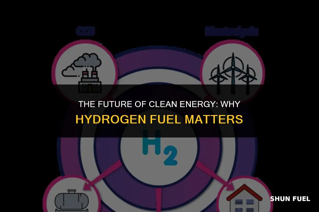 why hydrogen fuel is important