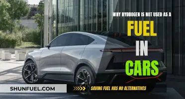 Hydrogen Cars: Fuel's Uncertain Future