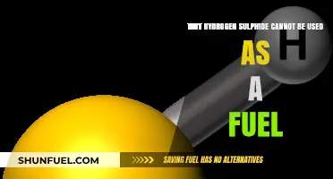 Hydrogen Sulphide's Toxicity and Limitations: Why It's Not a Viable Fuel