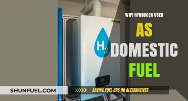 Hydrogen: The Clean, Efficient, and Sustainable Domestic Fuel Choice